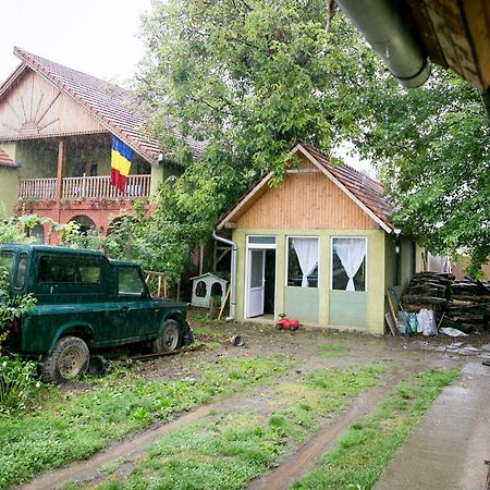 Hotel Pensiune Muzeu Traditional Poveste In Transilvania Sighişoara Exterior foto